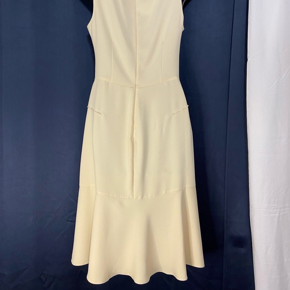 The Limited wear to work or date dress - Picture 4 of 7